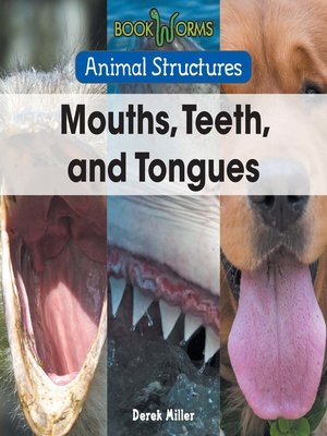 cover image of Mouths, Teeth, and Tongues